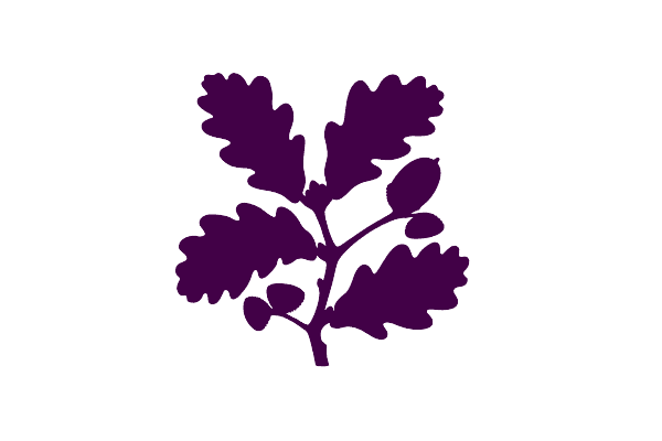 Covered Occasions Marquees marquee